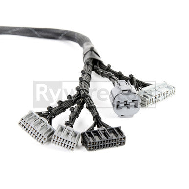 Rywire B-Series OBD1 Tuck Harness- EF-DX-EARLY