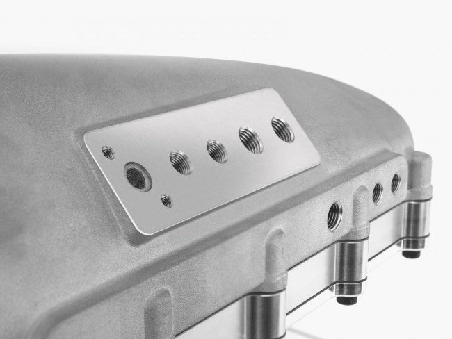 Skunk2 Ultra Race Center Feed Billet Manifold | K20C1 | K20C4
